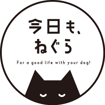 今日も、ねぐら